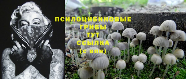 спиды Алексин