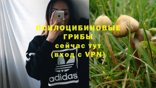 MDMA Алзамай