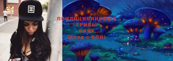 спиды Алексин