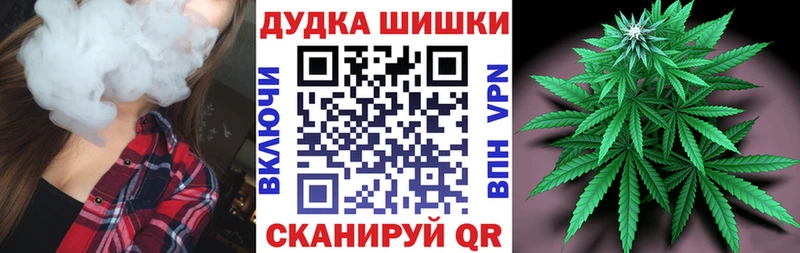 где найти наркотики  mega ссылки  Марихуана планчик  Пикалёво 